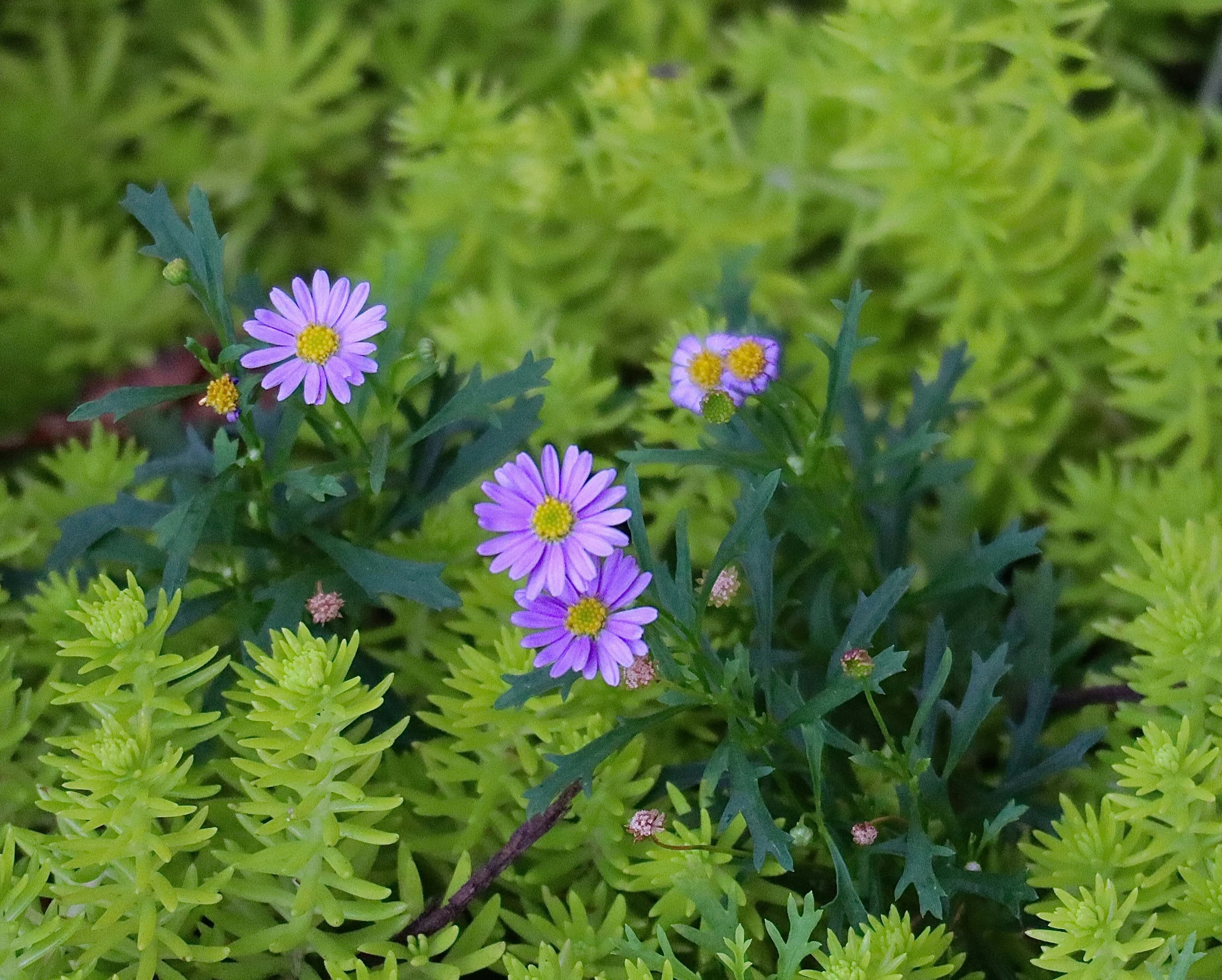 Central Asia in Spring: Your Perfect Weather Escape