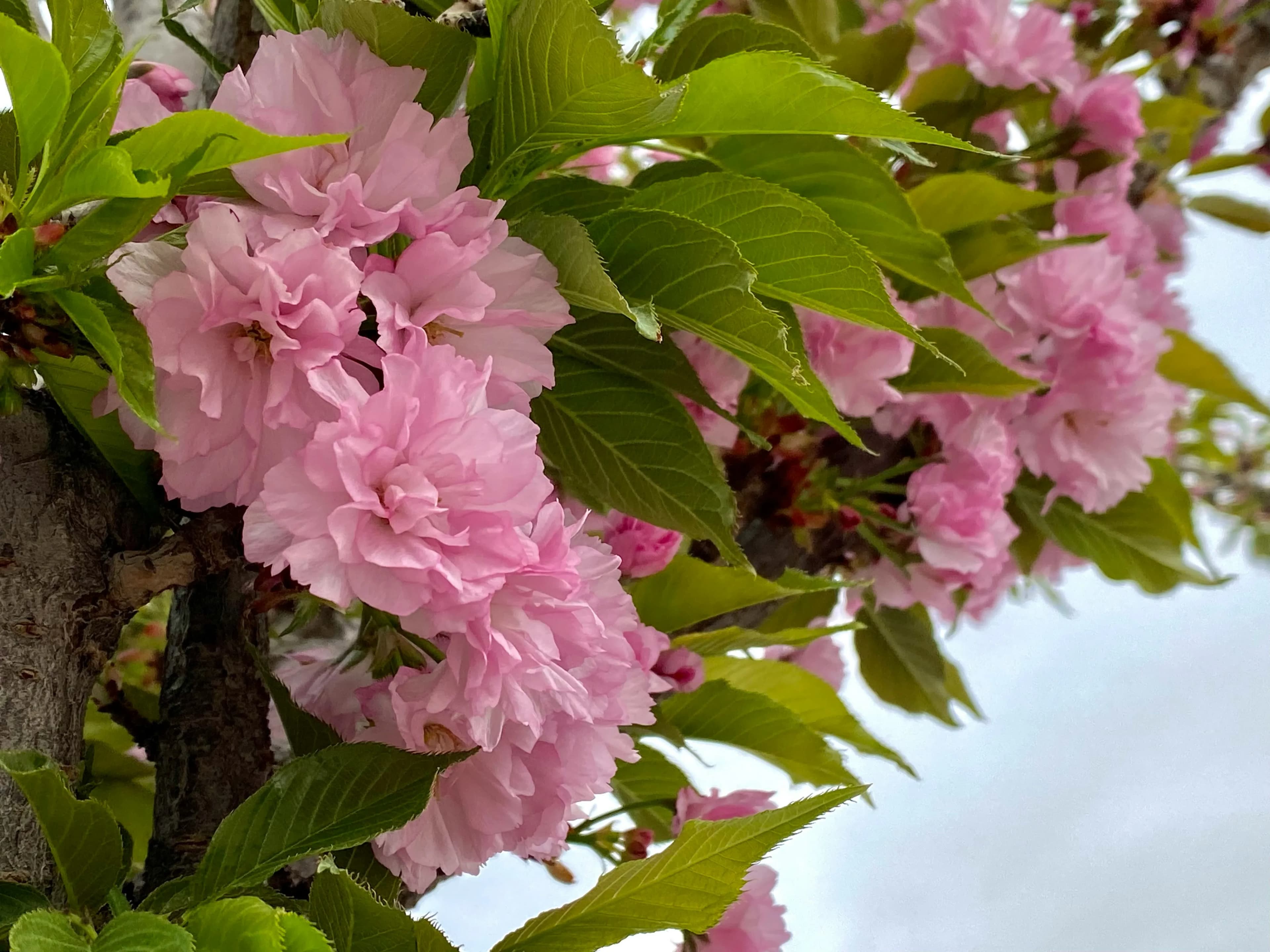 When is the Best Time to Visit Uzbekistan? 