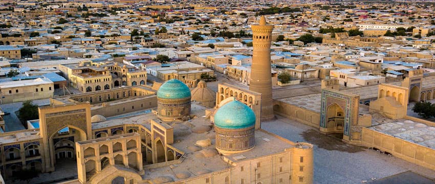 Where the Local Flavor Stands Out: Uzbekistan Food Market Vocabulary