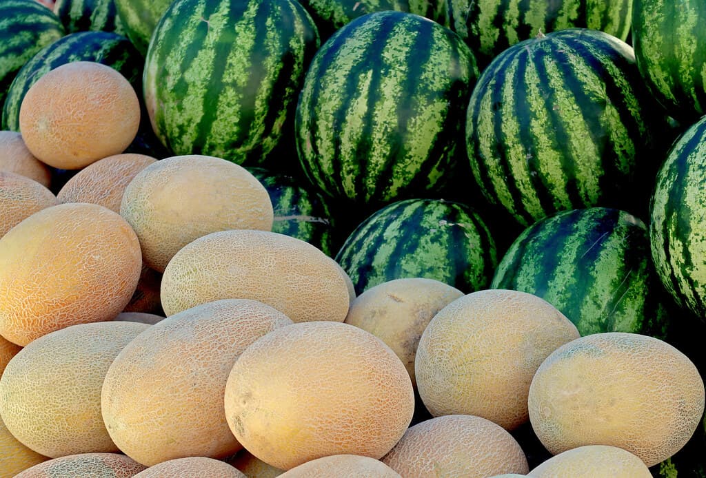 Season-Smart Planning for Uzbekistan Summer Heat Cooling Strategies