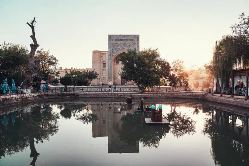 Beyond Souvenirs: A Deeper Look at Bukhara Textile Collector Suzani Checks