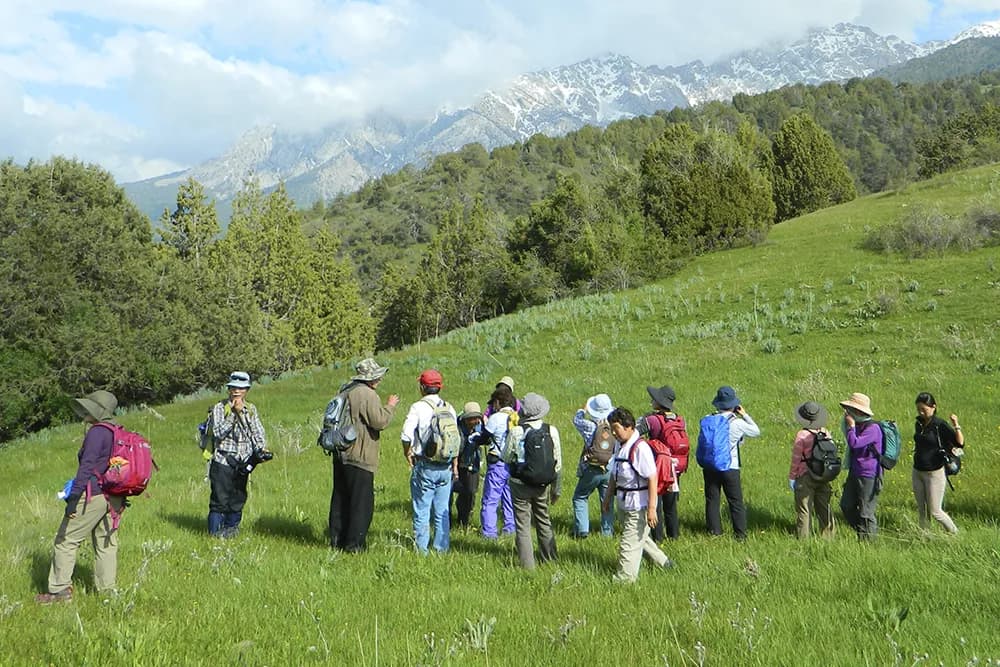 Women Artisan Trail Uzbekistan: Makers, Materials, and Meaning for Travelers