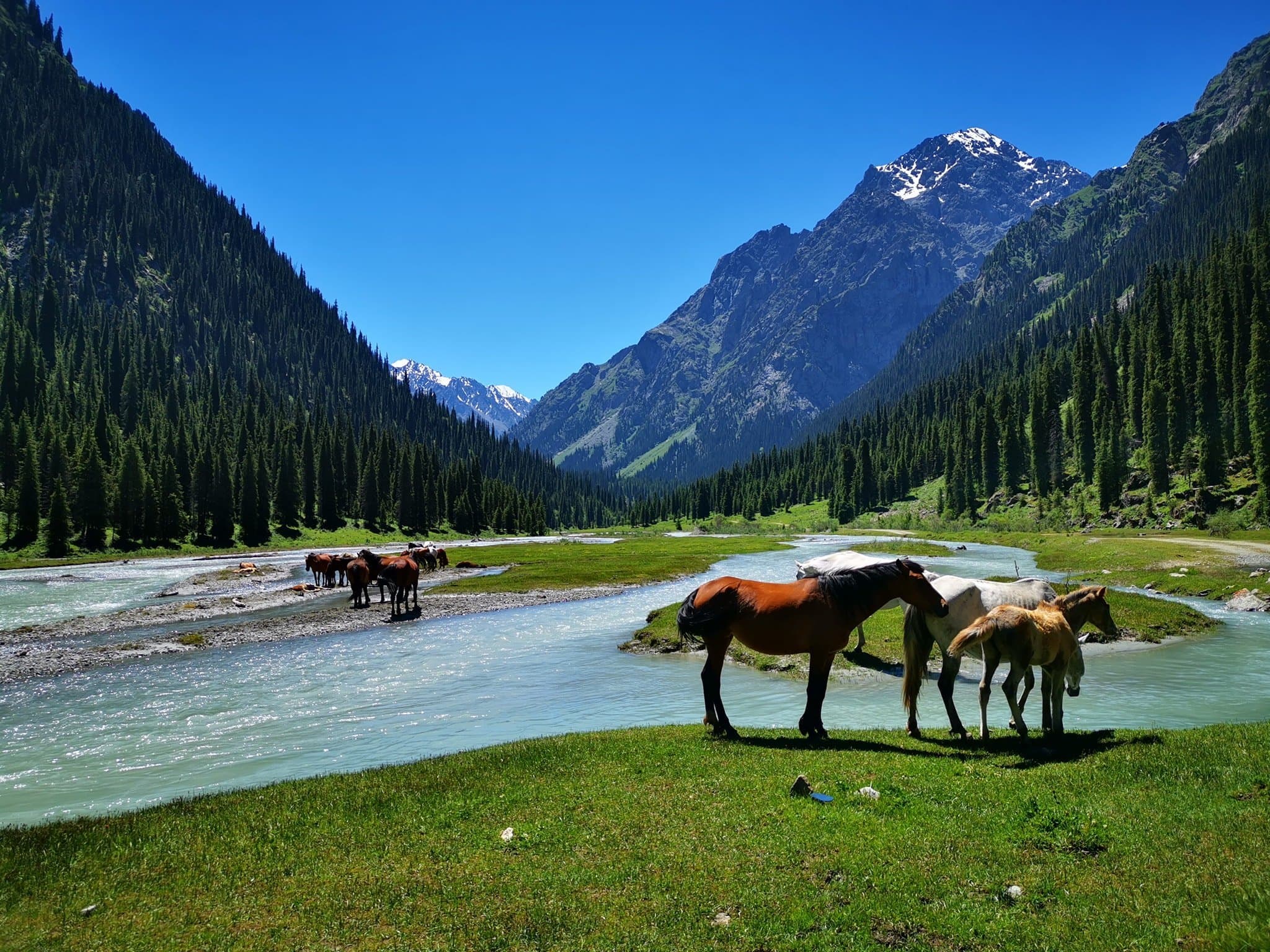Silk Road Women Travelers Comfort Tips: Small Choices That Make Travel Smoother